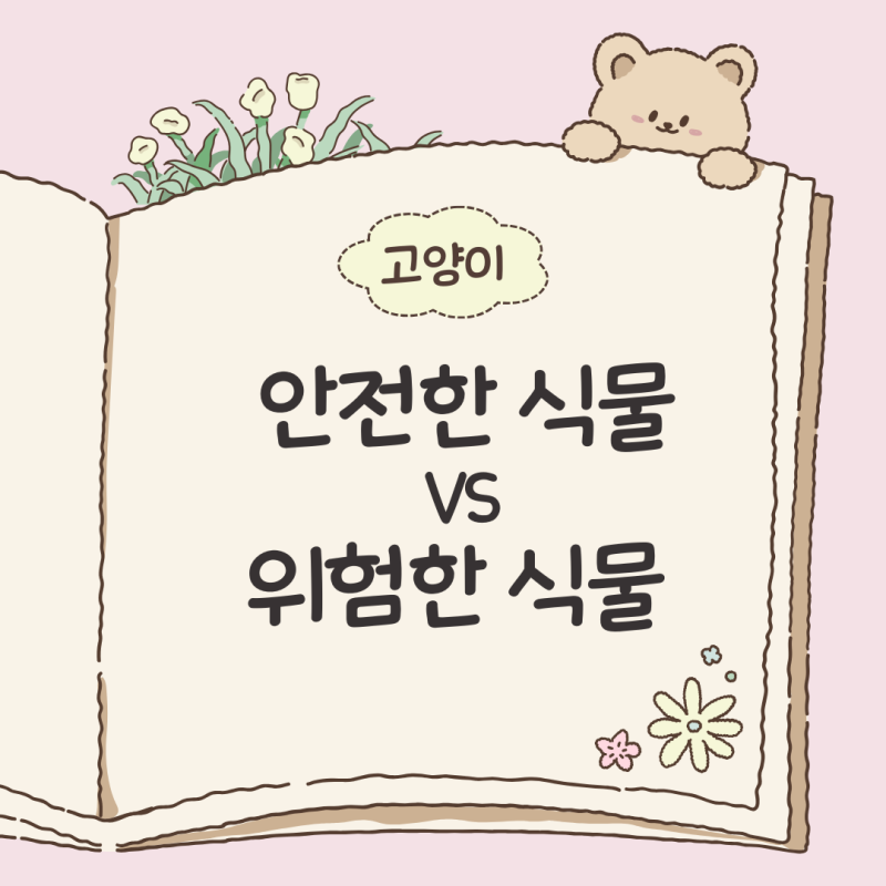 고양이에게 안전한 식물 VS 위험한 식물