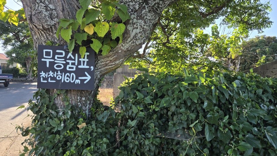 쉼 사진 2