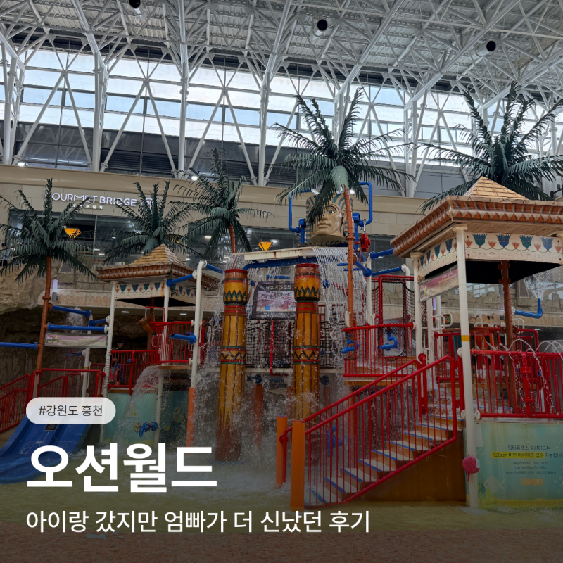 홍천 오션월드 4살 아이랑 다녀온 후기 | 식당, 이용꿀팁, 입장권 할인 방법