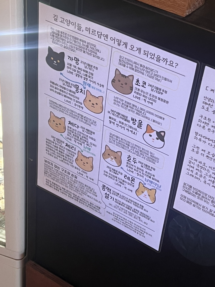 미르담 사진 6
