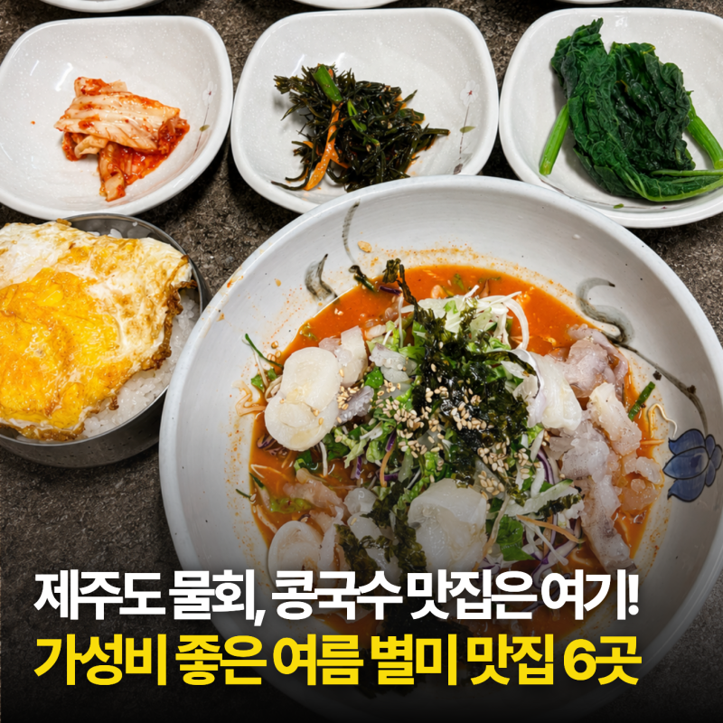 8월 제주도 물회, 콩국수 맛집 추천! 가성비 좋은 제주 여름 별미 맛집 6