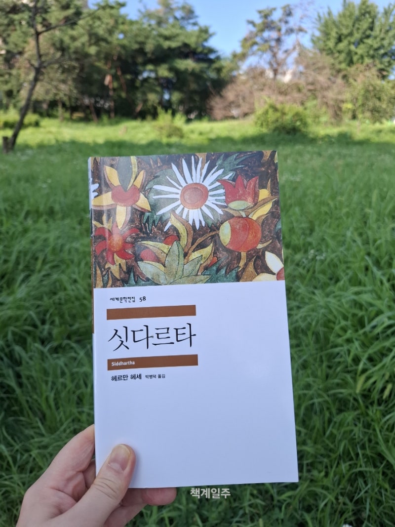 싯다르타 줄거리 헤르만 헤세 베스트셀러 인생책추천