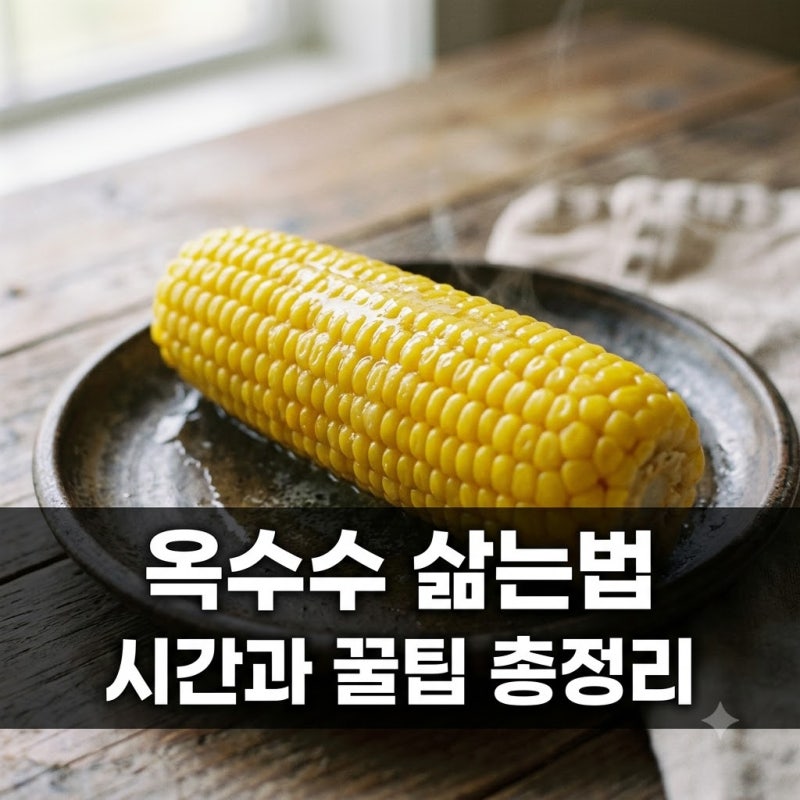 옥수수 삶는법 냄비 압력솥 시간부터 백종원 꿀팁까지 총정리