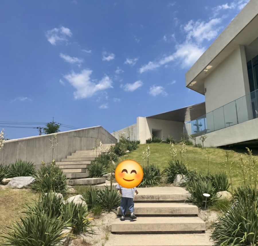 속초옥수수소금빵 사진 6