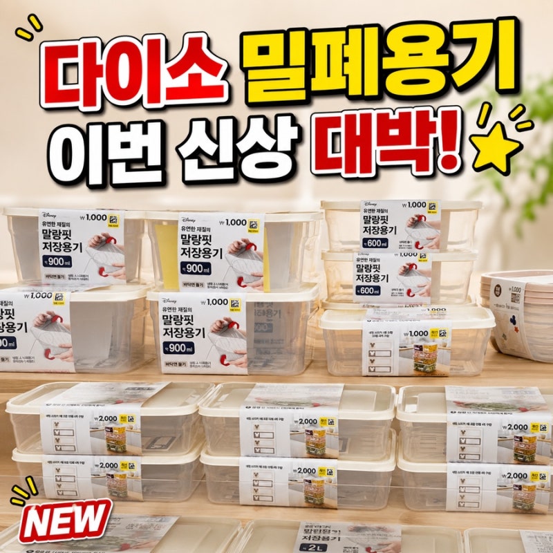 다이소 신상 밀폐용기 3가지, 지금 놓치면 아쉬운 추천템