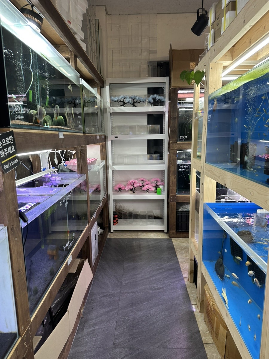 대만족 사진 3