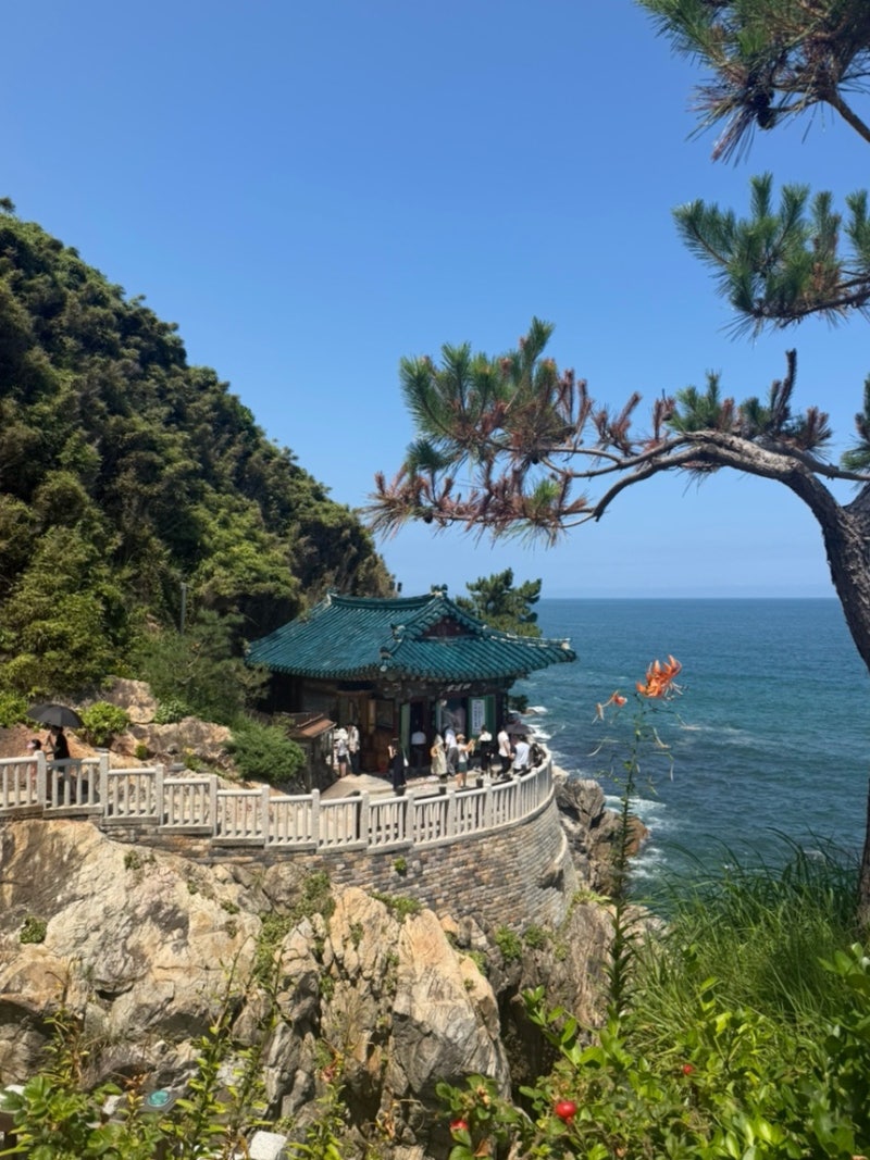 양양 가볼만한 곳 3대 관음성지 낙산사 (홍련암, 의상대, 해수관음상) 주차정보, 소요시간
