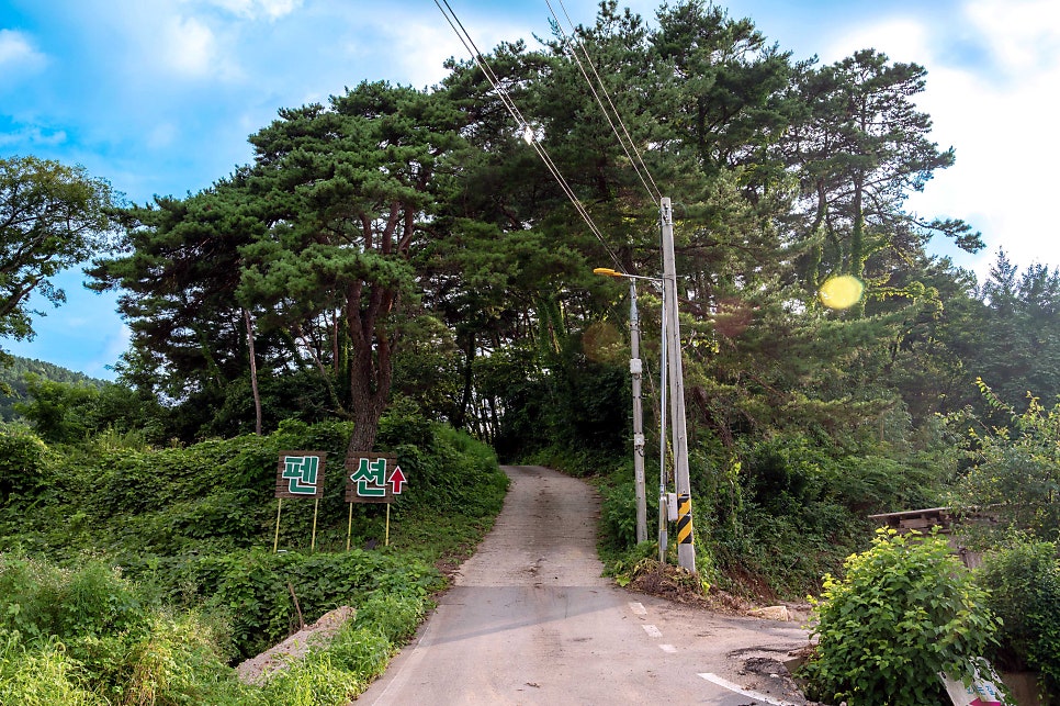 홍길동건강펜션 사진 1