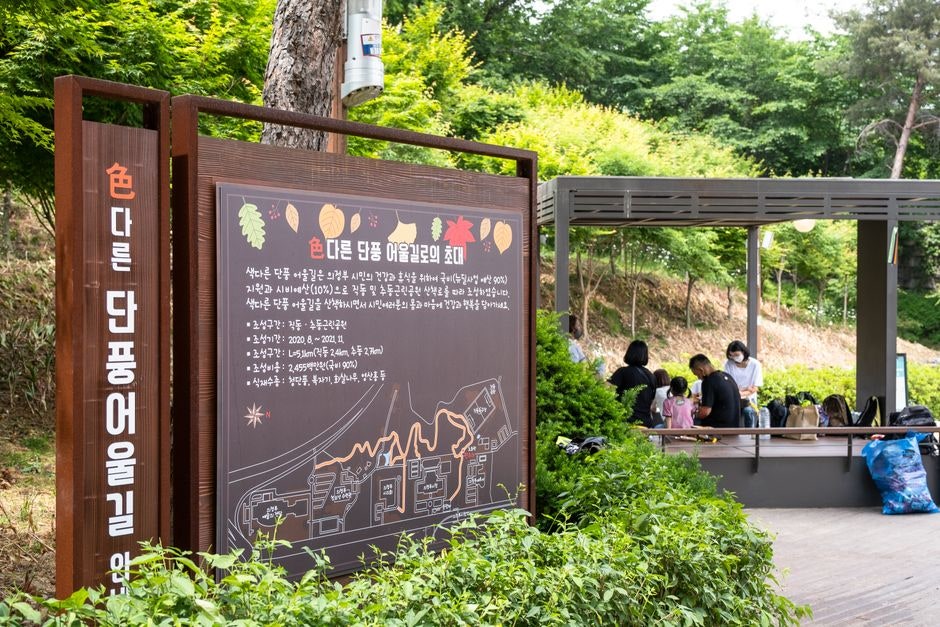 국립진도자연휴양림 사진 6