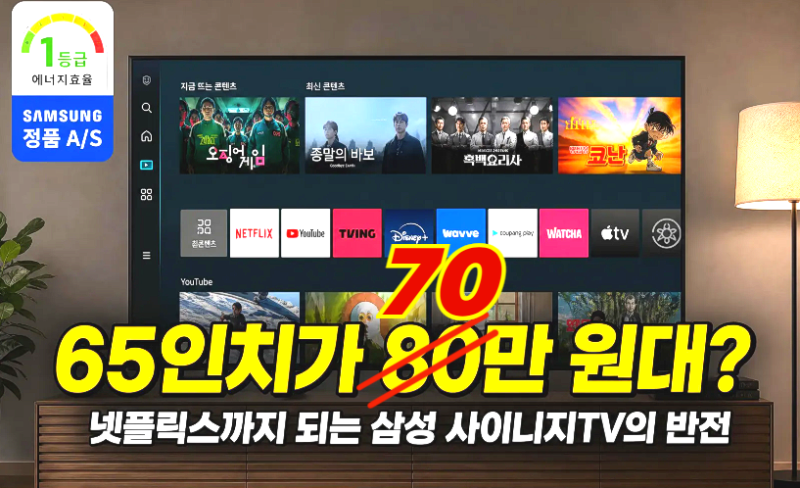 삼성 사이니지TV LH65BEFHLGFXKR, 65인치 넷플릭스TV 가성비 비지니스 TV 사용기