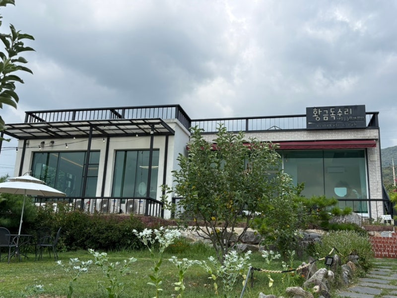 [전남화순]황금독수리 돈까스 파스타 맛집 분위기 좋은 레스토랑