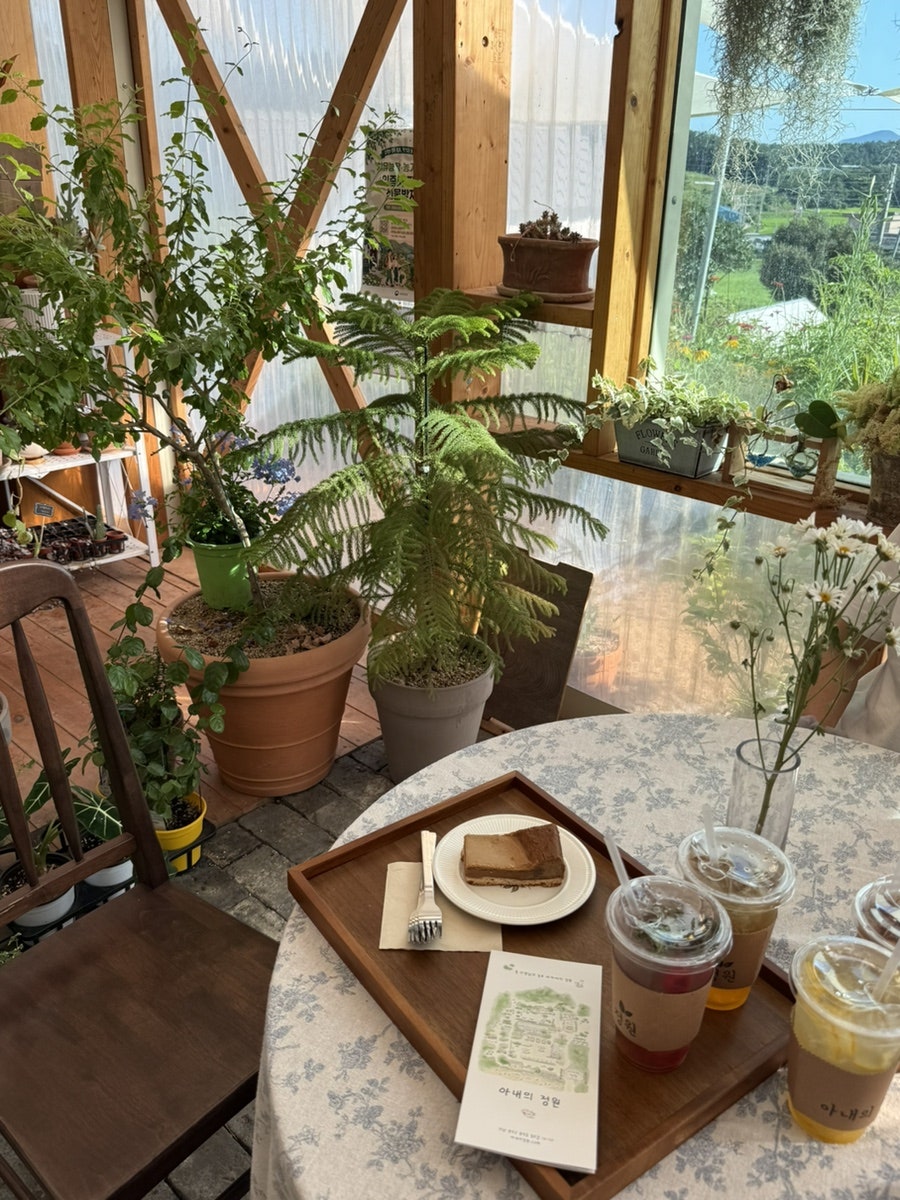 아내의정원 사진 6