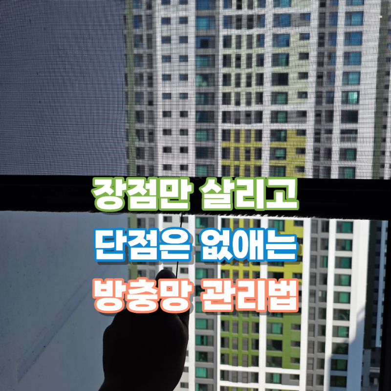 계속 내려두면 큰일납니다. 100명중 99명이 모르는 롤방충망 사용 방법 장단점