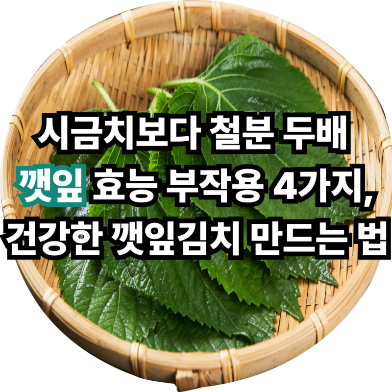 시금치보다 철분 두배 깻잎 효능 부작용 4가지, 건강한 깻잎김치 만드는 법