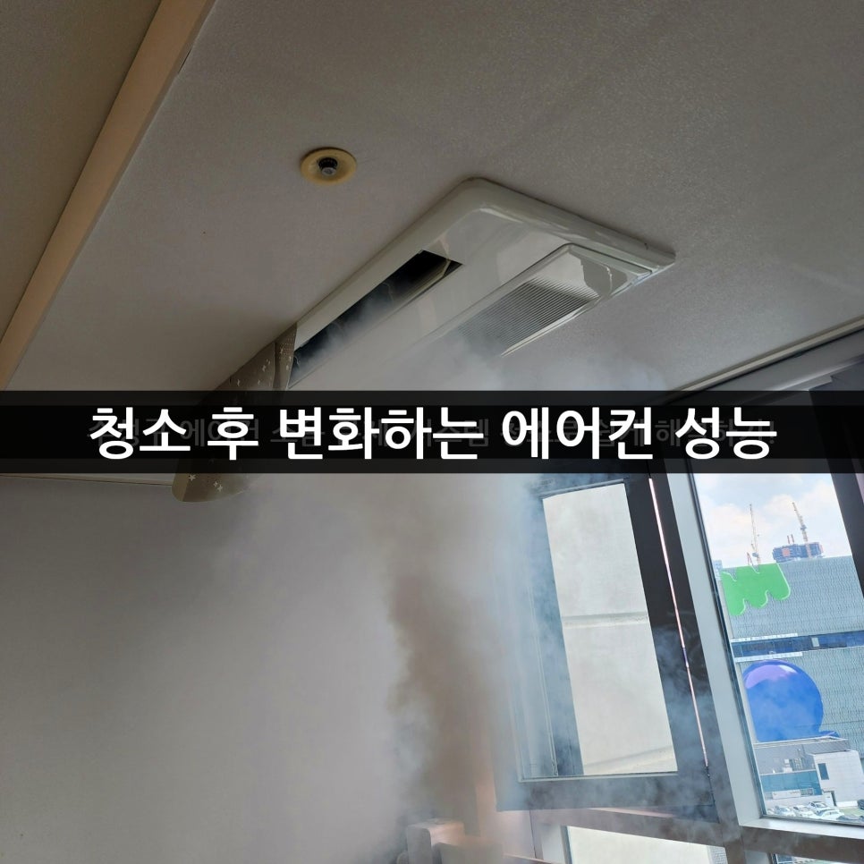 샘 사진 5