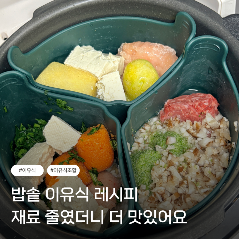 10개월 아기 밥솥 이유식 레시피 공유 후기이유식 소고기 닭고기 게살 조합, 게살 언제부터 ?