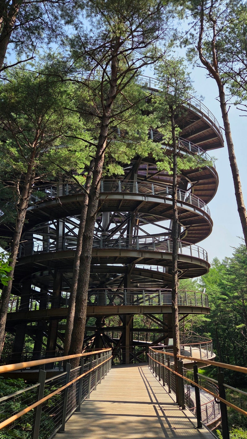 태백 태백산하늘전망대