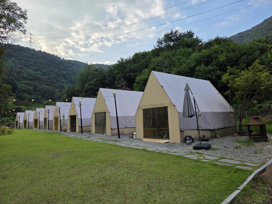 더숲 사진 5