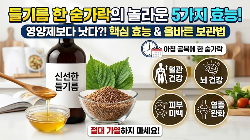 생들기름 효능 5가지와 부작용 줄이는 올바른 보관법 및 복용법