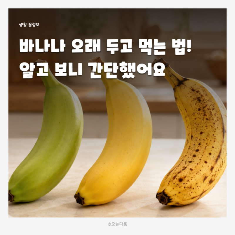 바나나 과일보관 바나나 오래 보관하는 방법! 후숙부터 냉동 활용까지