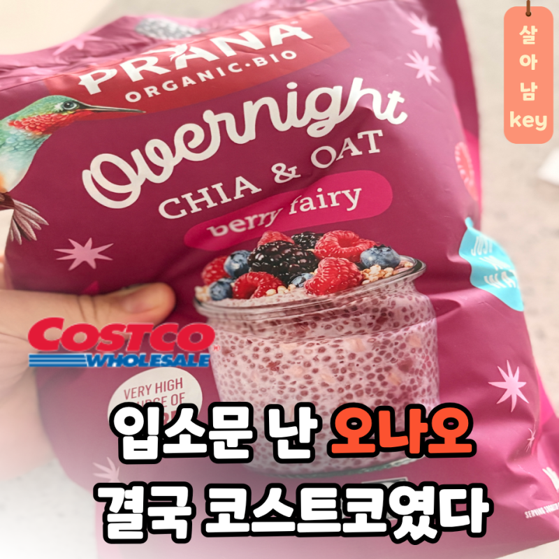 "오나오" 찾던 사람들, 결국 코스트코 라나 오버나이트 치아앤오트 고른 이유
