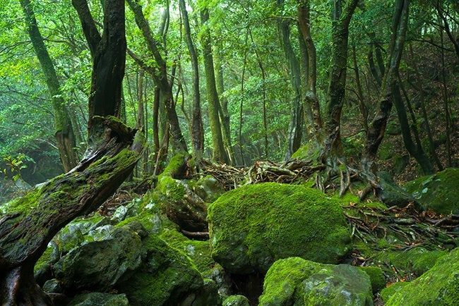 돈내코계곡 사진 4