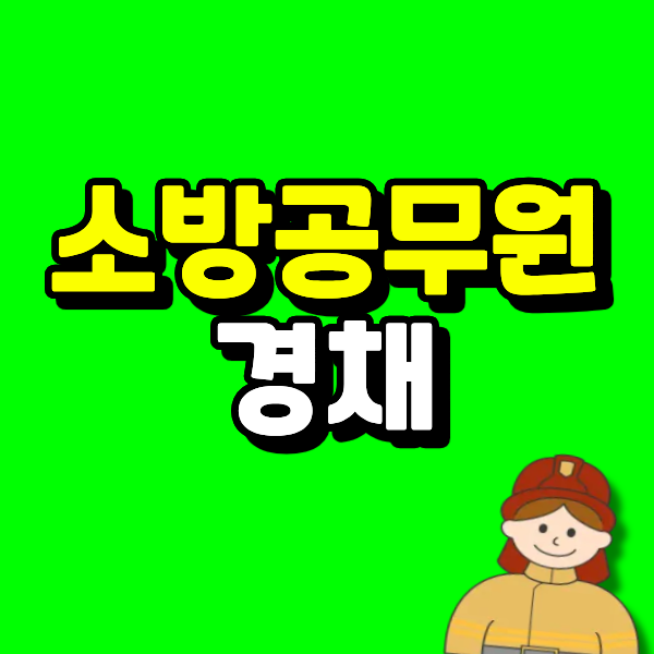 소방공무원 경채, 경채 유형마다 조건이 달라서 본인에게 맞는 유형 먼저 확인하지 않으면 ....
