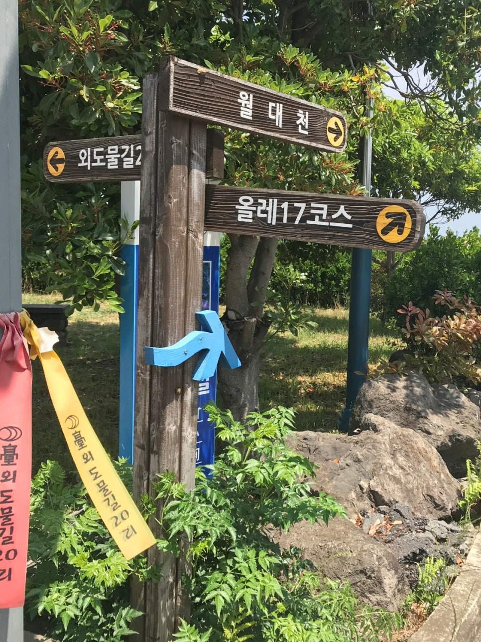 아베베베이커리 제주 사진 6