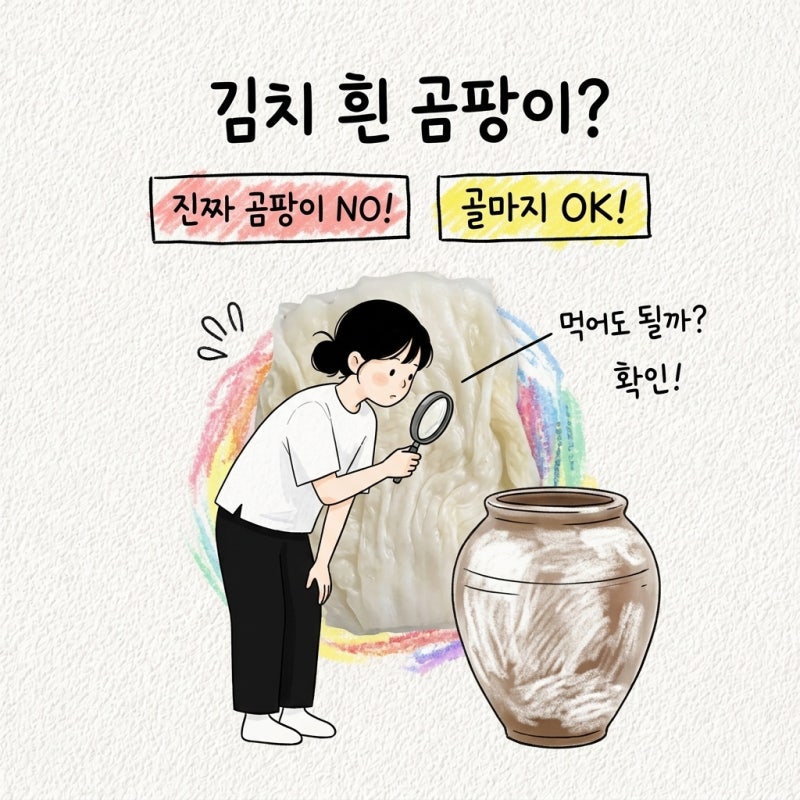 김치 하얀 곰팡이는 왜 생길까? 골마지와 진짜 곰팡이 차이 파김치까지 확인 기준