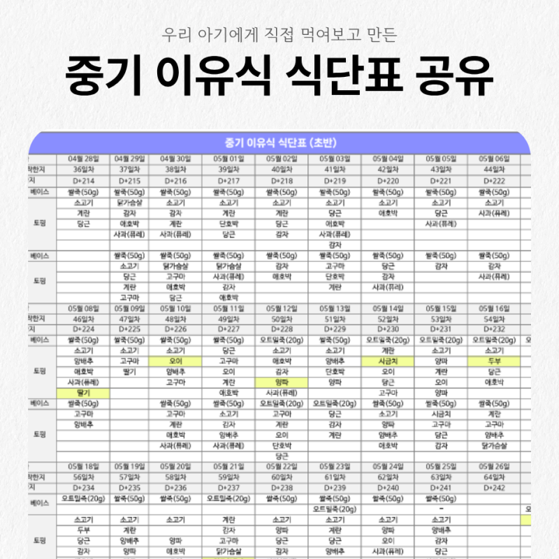 7,8개월 중기 토핑 이유식 식단표 스케줄 공유, 핑거푸드 꿀팁(비번 없는 엑셀, PDF 파일)