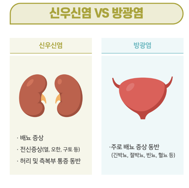 방광염과 신우신염의 차이 재발없이 빨리 낫고 싶다면? 항생제 중단 금지, 생활습관 체크