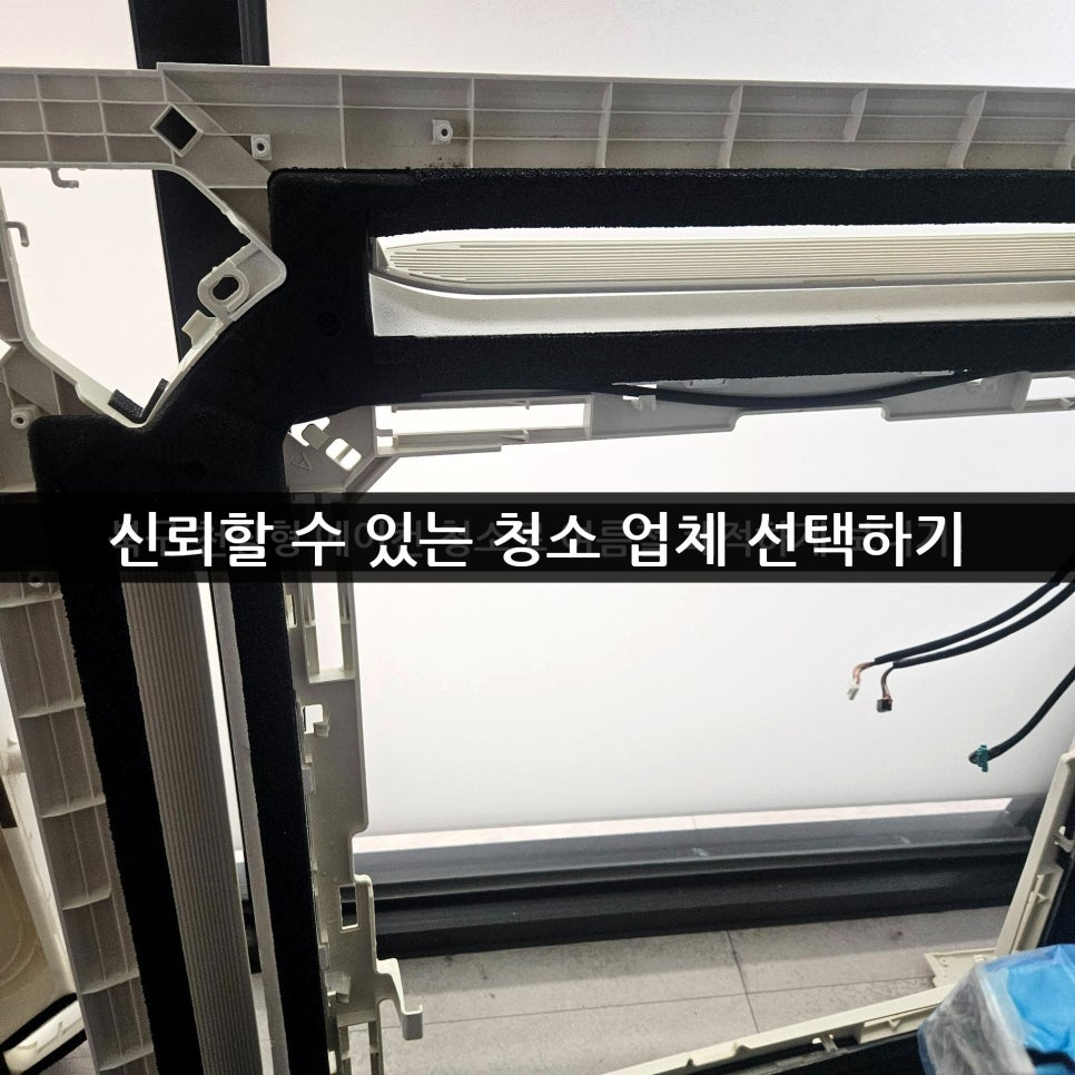 샘 사진 6