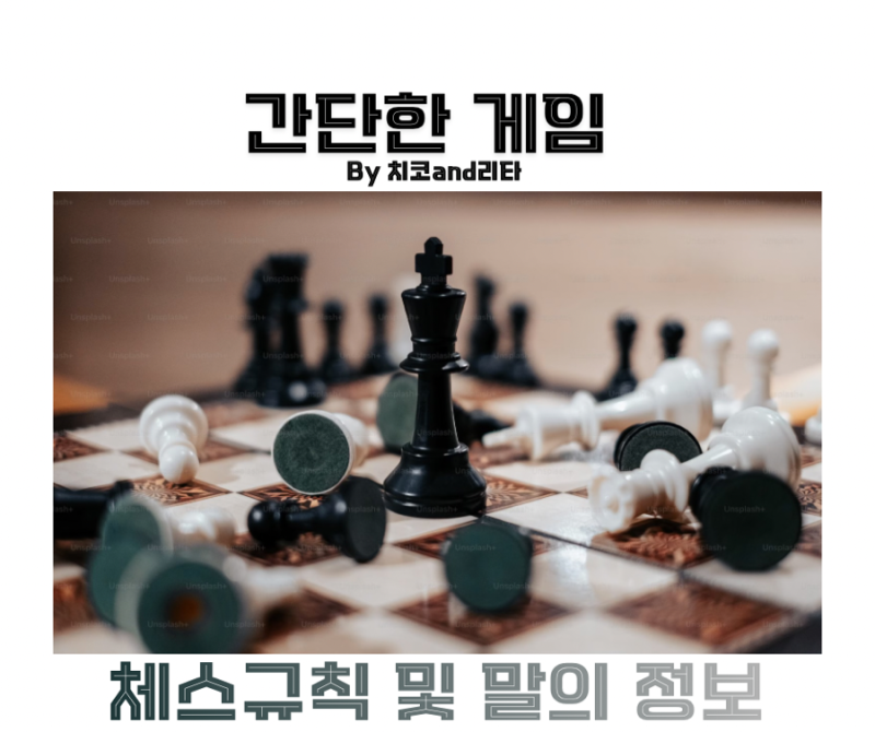 체스 규칙 말 이름 체크메이트 두는법 총정리