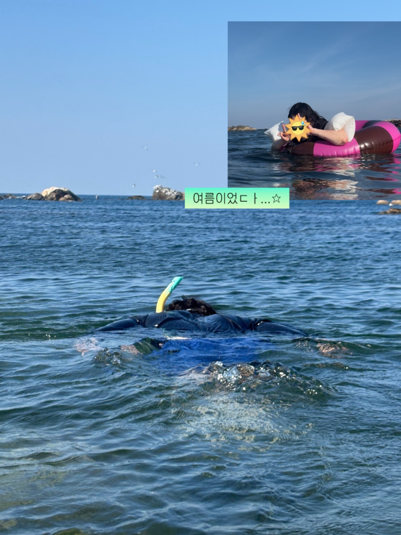 8월 여름 휴가 영덕 1박2일 여행 (동광어시장 노가네 예약 및 할인, 영덕 대게가격, 충무식당, ....
