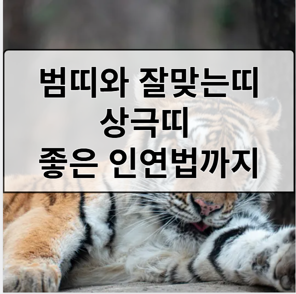 범띠와 잘맞는띠 상극띠 행운을 부르는 인연법까지!