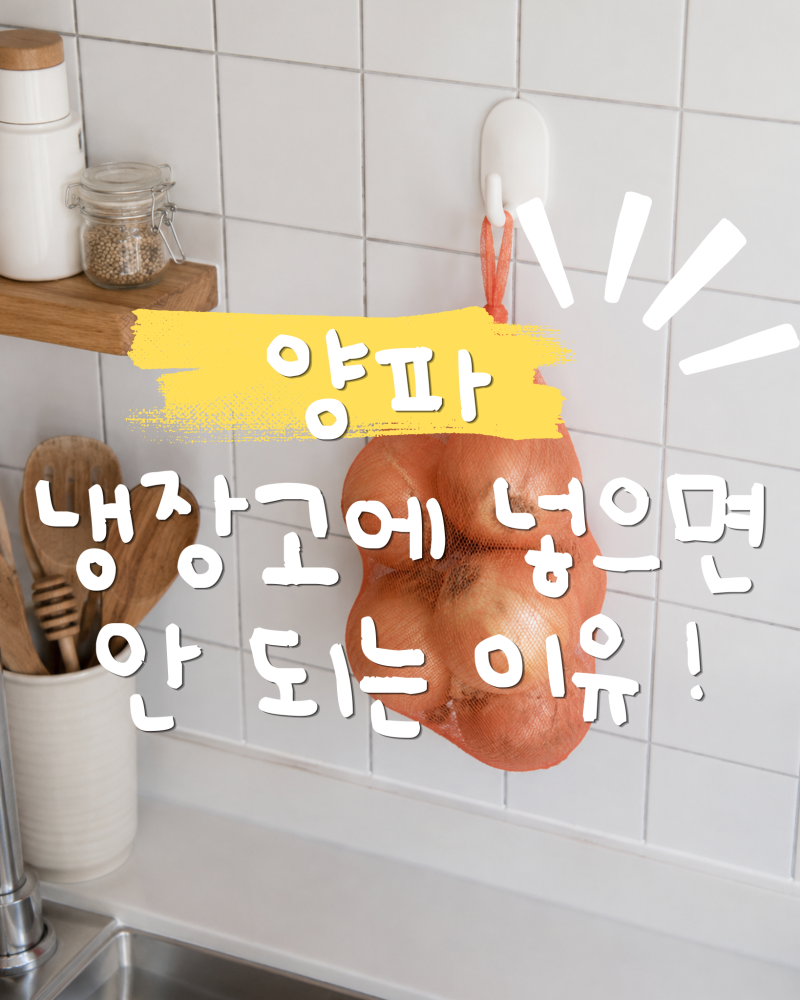 양파 냉장보관하면 안 되는 이유! 오래 신선하게 보관하는 방법