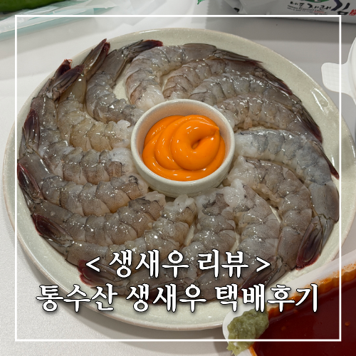 통수산 제철 생새우 회 배송 내돈내산 후기