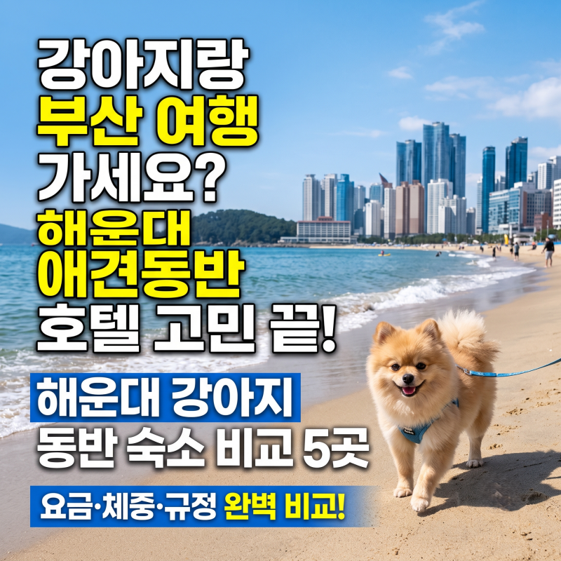 부산 해운대 강아지 동반 숙소 5곳 꼼꼼 비교 (호텔 요금, 규정)