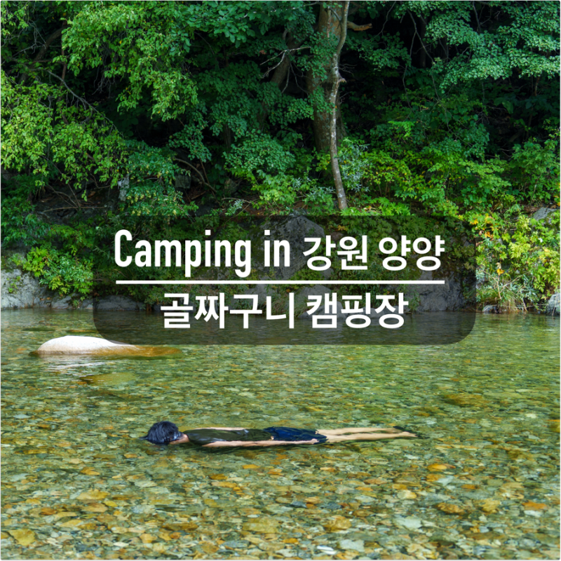 양양 얕고 맑은 계곡 캠핑장 [골짜구니 캠핑장 A5] 발목 깊이의 투명한 계곡