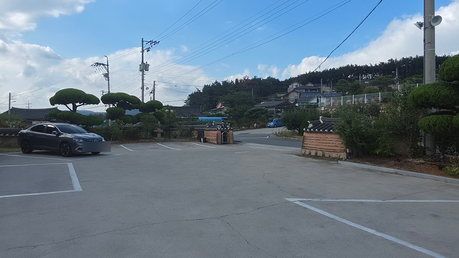 마당 사진 4