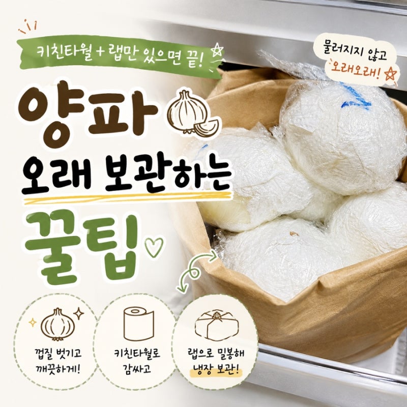 양파 보관법｜껍질 깐 양파 오래 보관하는 방법 (키친타월+랩 꿀팁)
