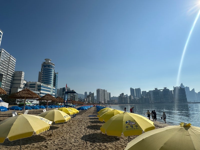 부산여행 여름바다 물놀이 광안리 해수욕장 개장 입수가능시간 파라솔 튜브 샤워장 정보