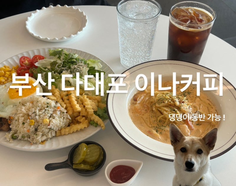 부산 다대포해수욕장 애견동반 브런치 | 이나커피