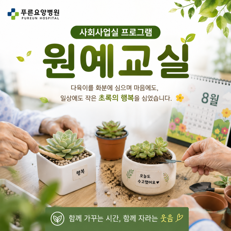 창원암요양병원 제암 프로그램 추천 다이육와 함께하는 원예교실