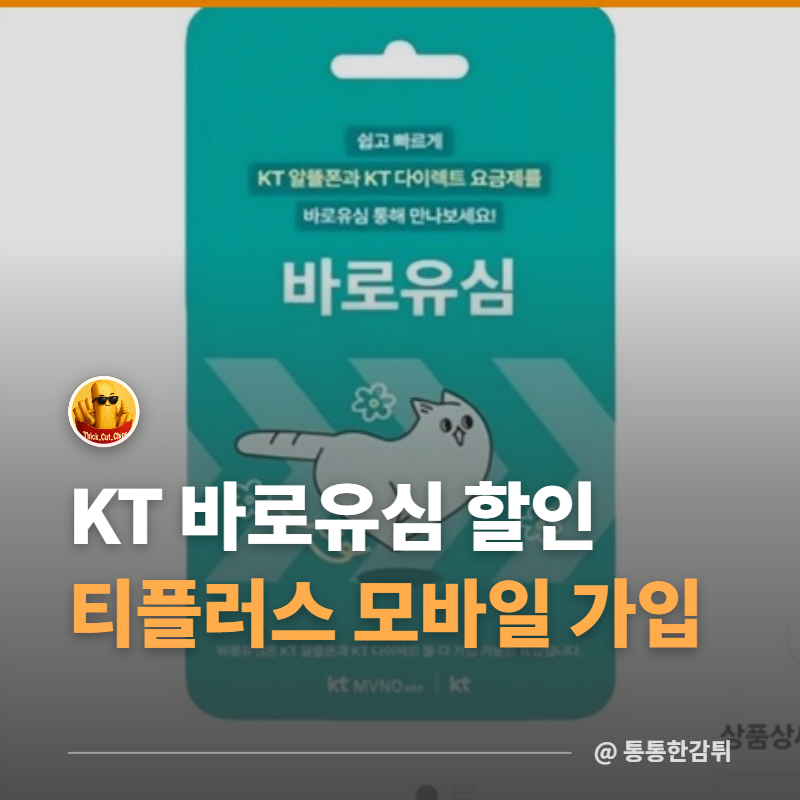 "KT 알뜰폰 바로유심 할인" 티플러스 100원 요금제 가입해보니..