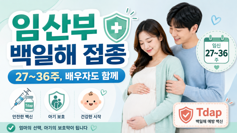 임산부 백일해 예방접종 시기 및 배우자 접종 안내