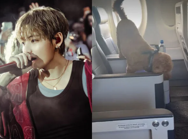 BTS 뷔, 비행기 기내 강아지 영상 공개에 논란? "전용기 vs 케이지 미준수" 네티즌 갑론을박