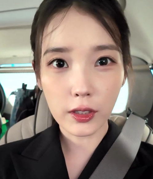 이종석과 결별 한 달 만에 전 남친 노래를? 아이유 인스타에 장기하 BGM