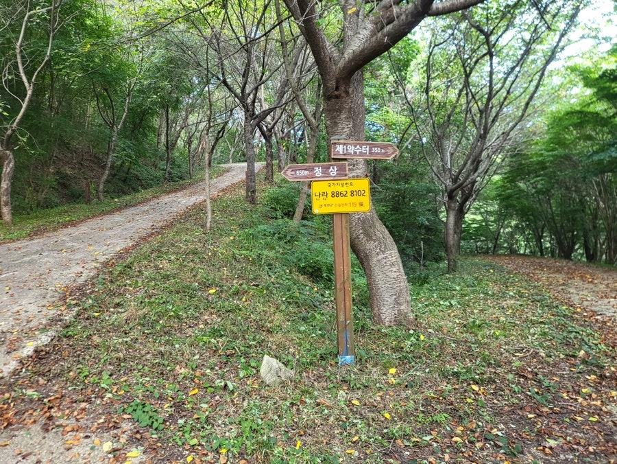 봉대산 사진 3
