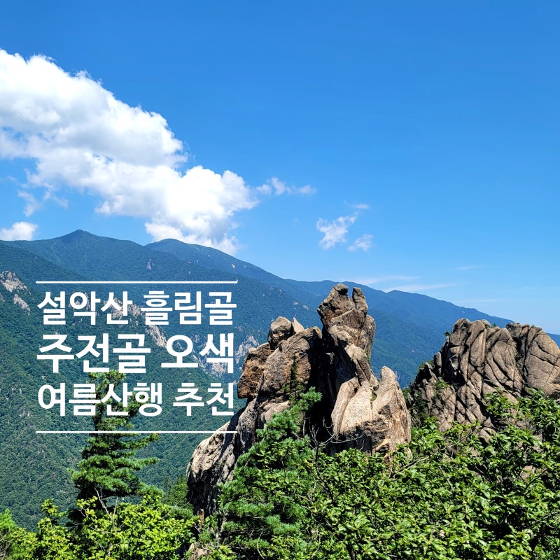 설악산 흘림골 주전골 등산코스 주차 이동시간 여름산행 추천